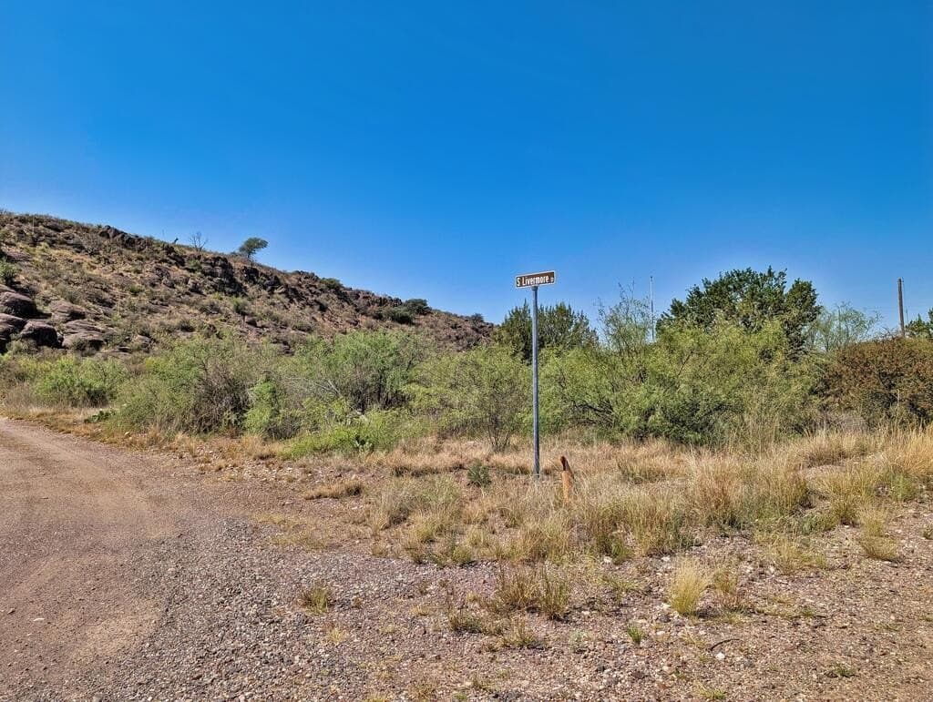 0.41 acres in Jeff Davis County - photo 6