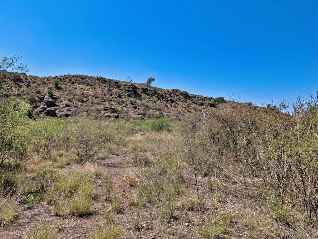 0.41 acres in Jeff Davis County - photo 9