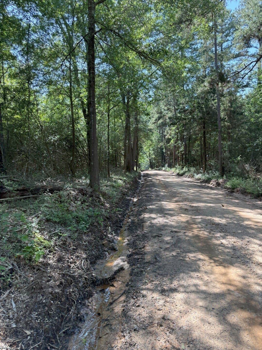 15.1 acres in Shelby County - photo 6