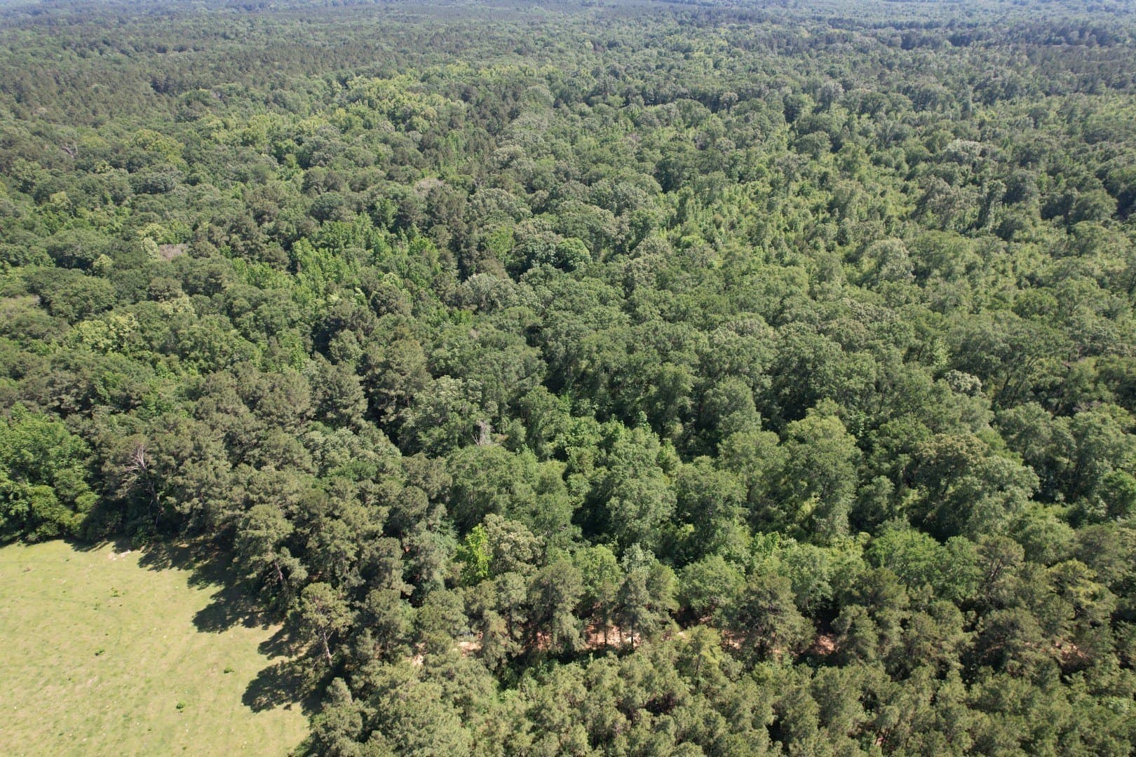 15.1 acres in Shelby County - photo 3