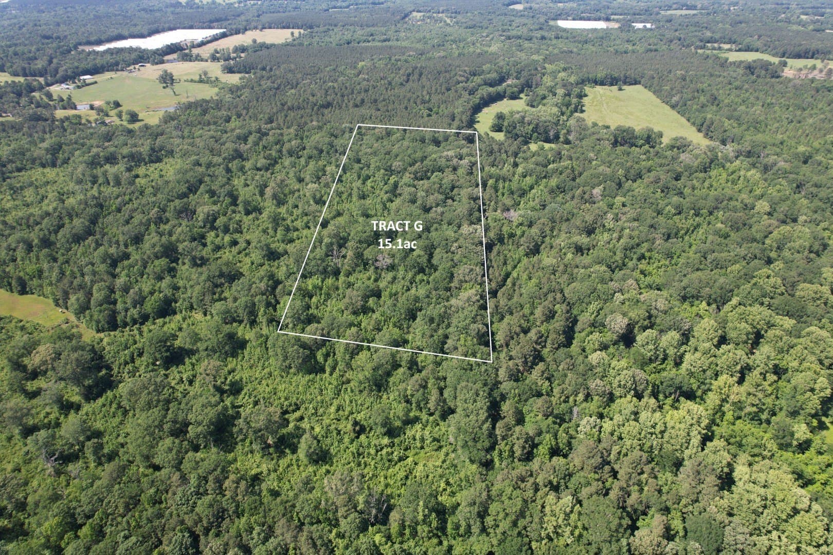 15.1 acres in Shelby County - photo 5