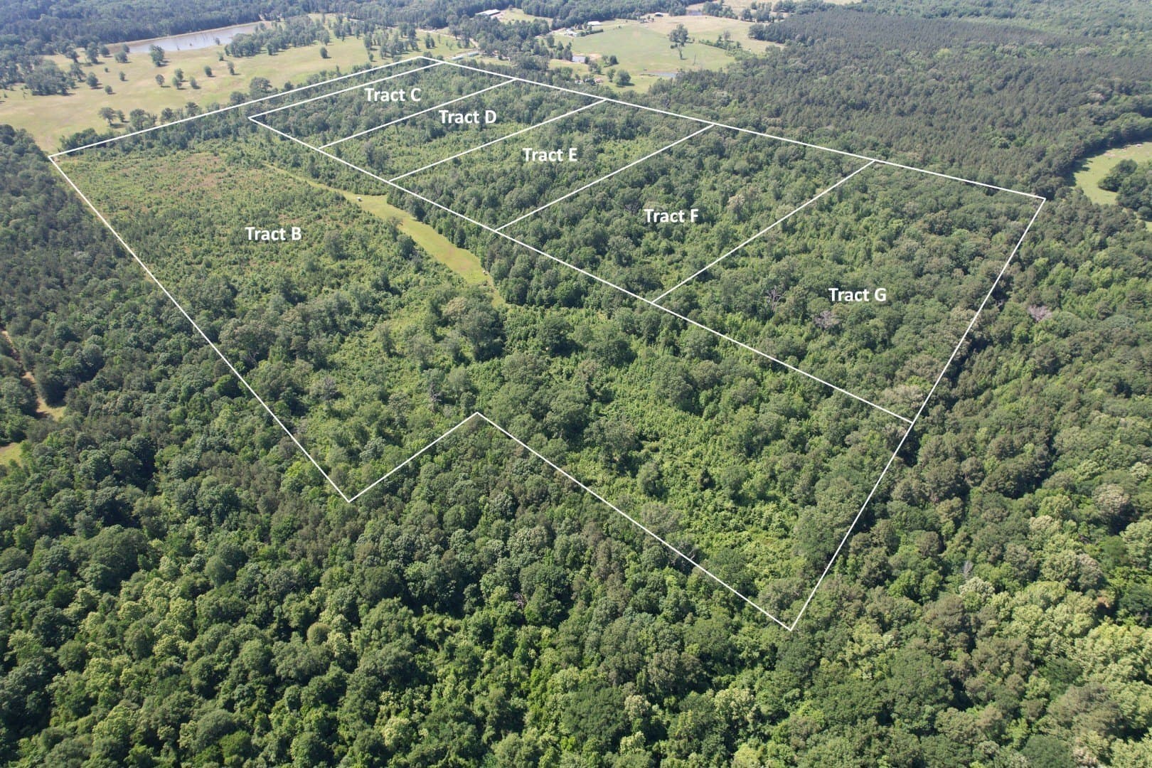 15.1 acres in Shelby County - photo 2