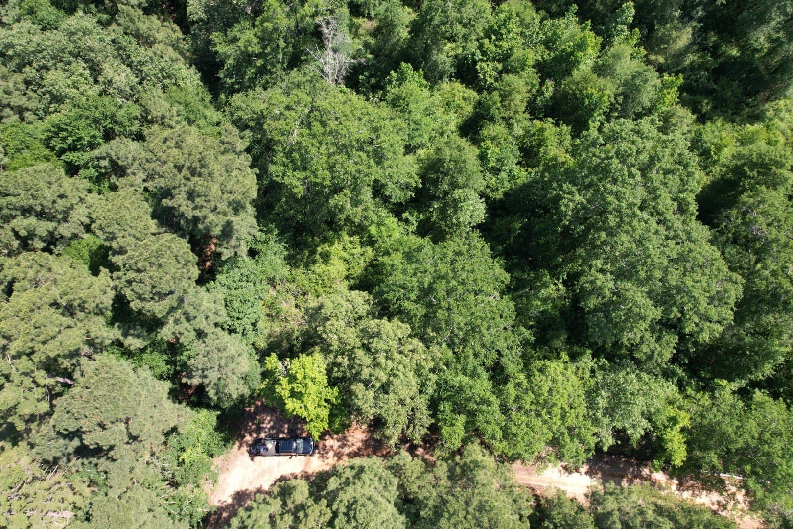 15.1 acres in Shelby County - photo 4
