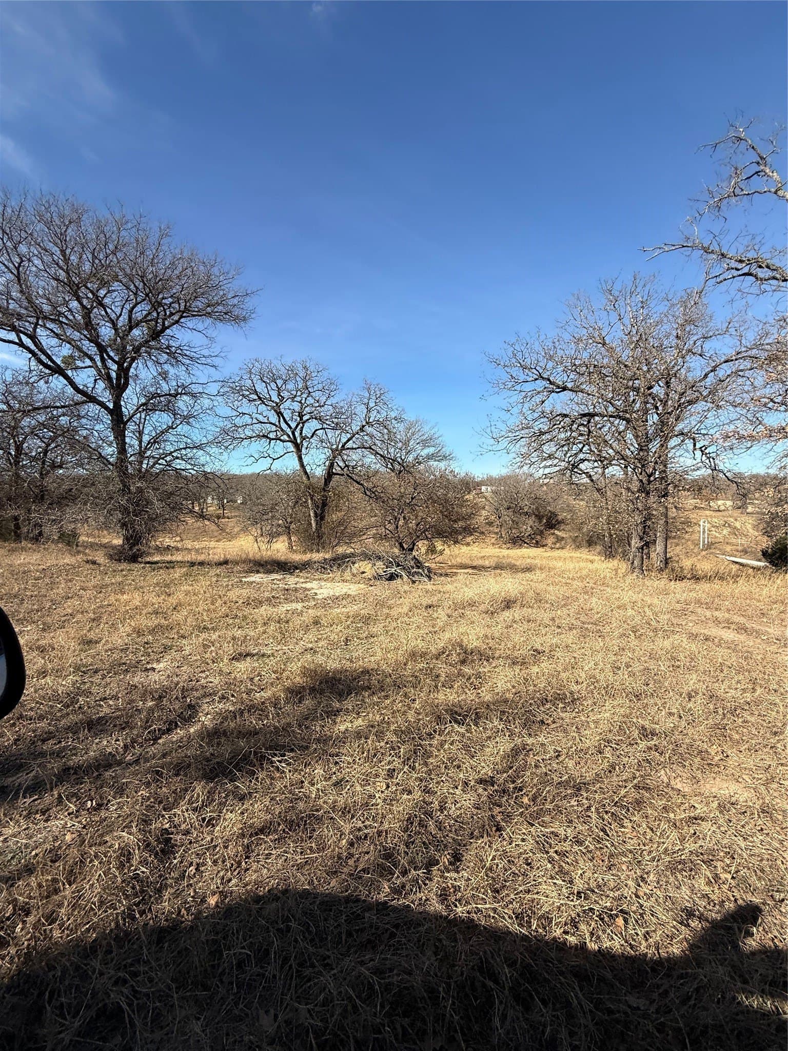 10.62 acres in Wise County gallery image 3