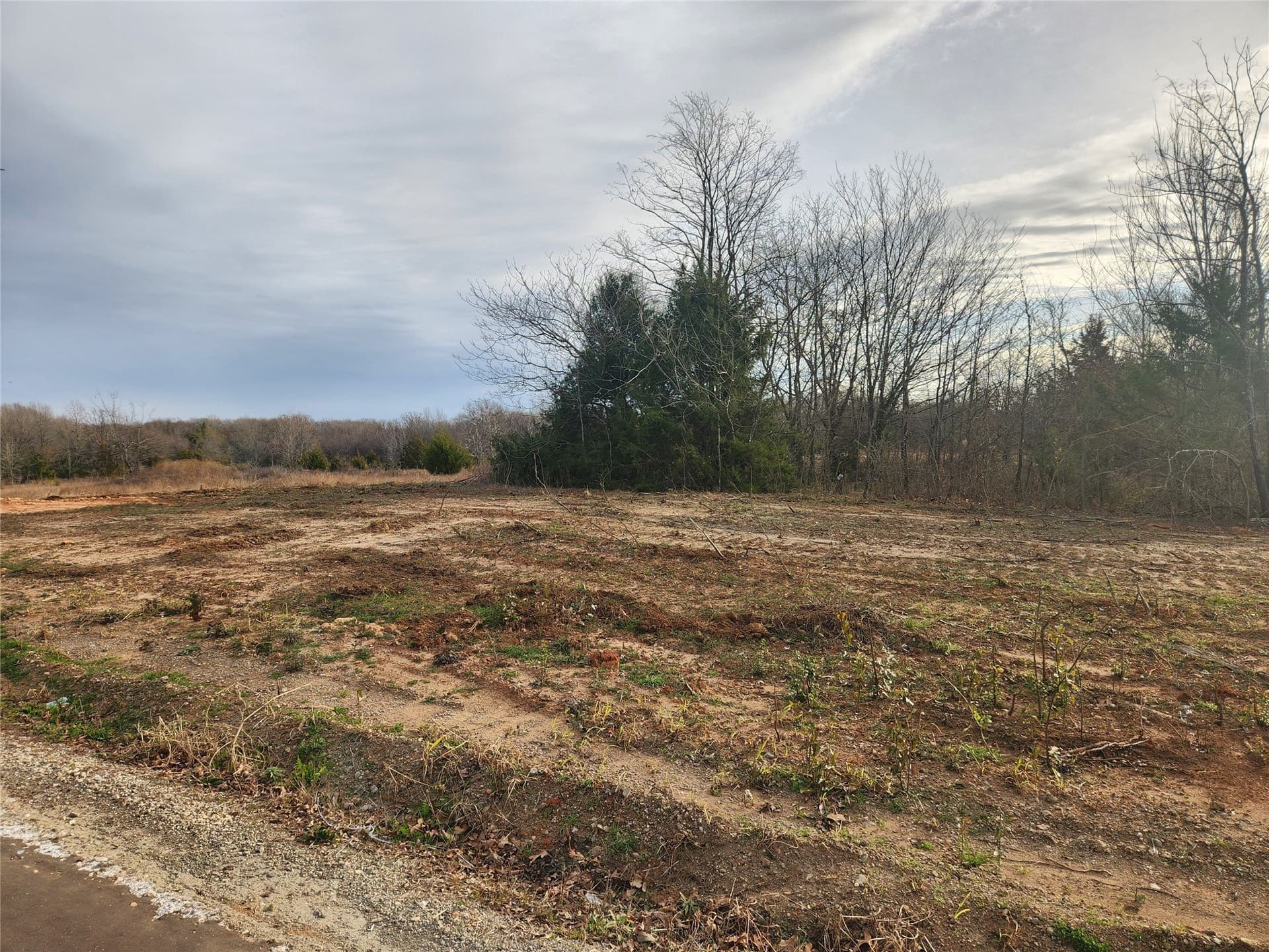 3.25 acres in Hopkins County gallery image 2