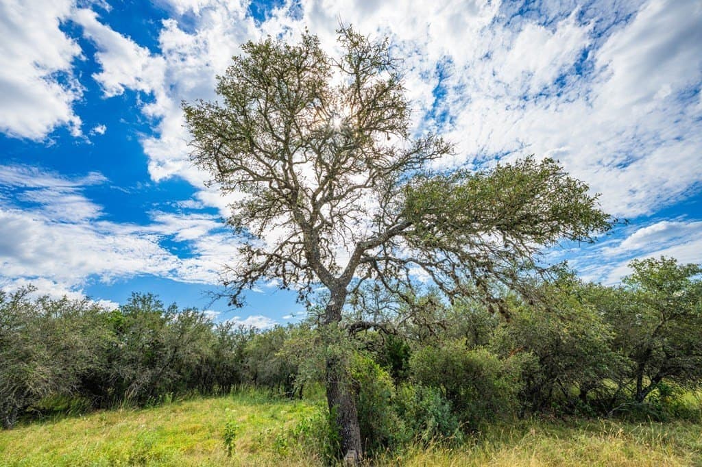 1.56 acres in Kerr County - photo 8