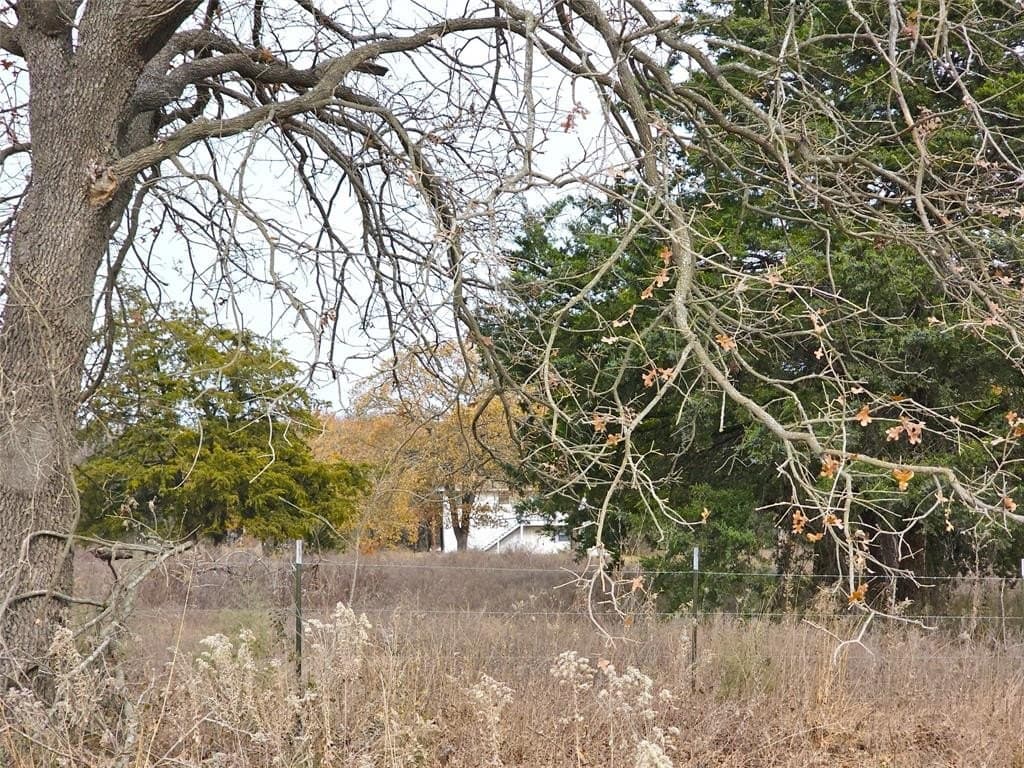 10 acres in Navarro County gallery image 2