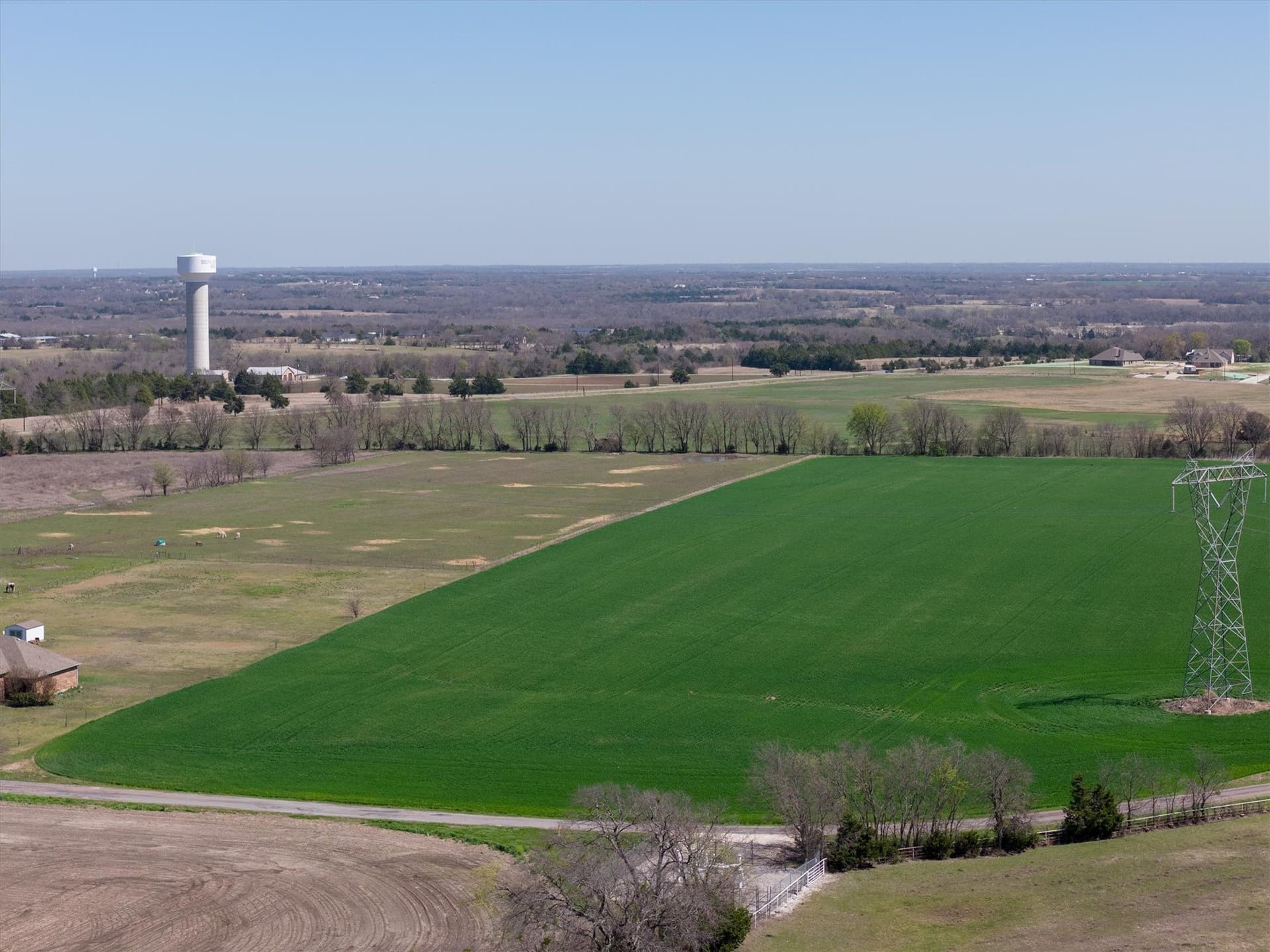 13.33 acres in Grayson County gallery image 4
