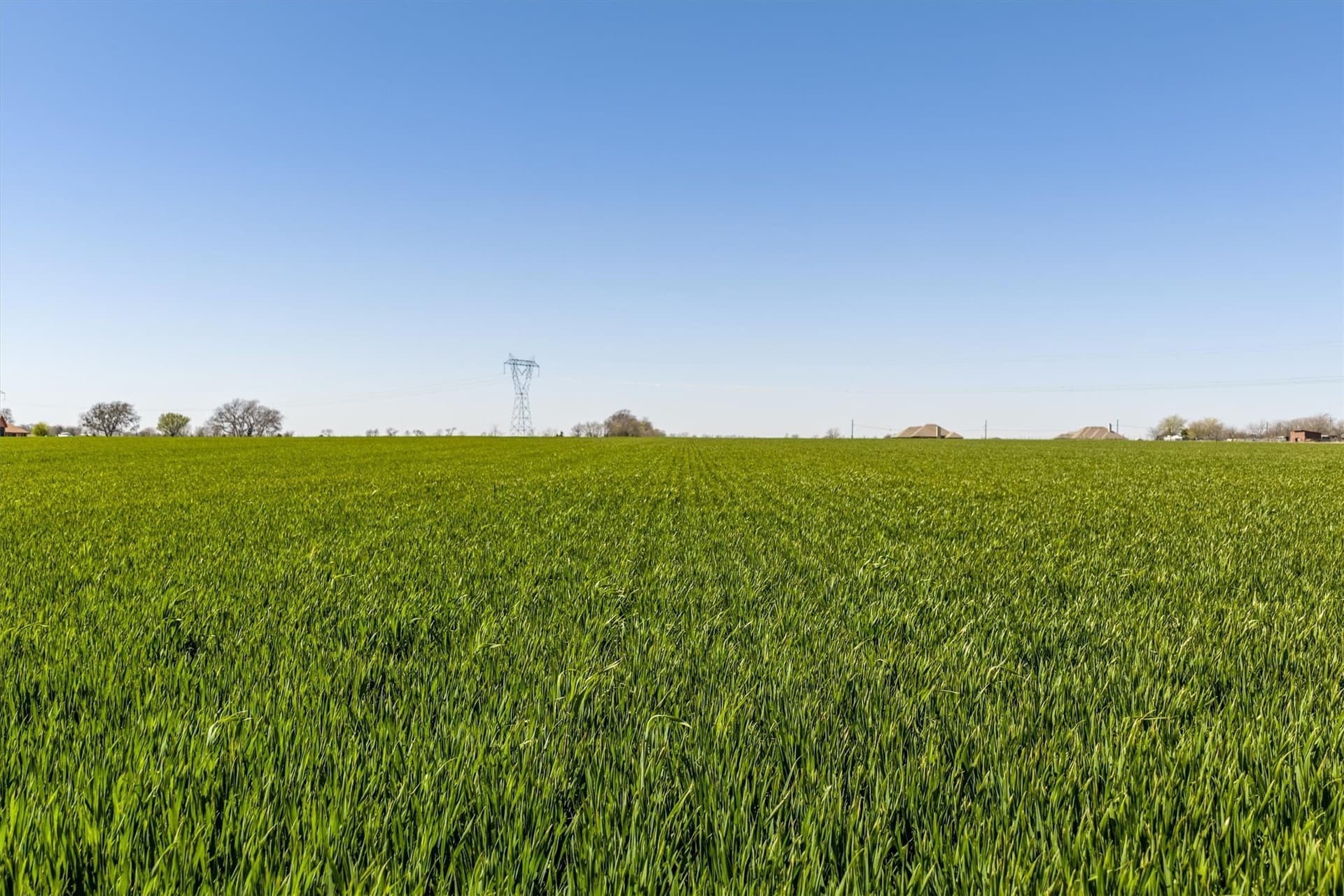 13.33 acres in Grayson County - photo 22