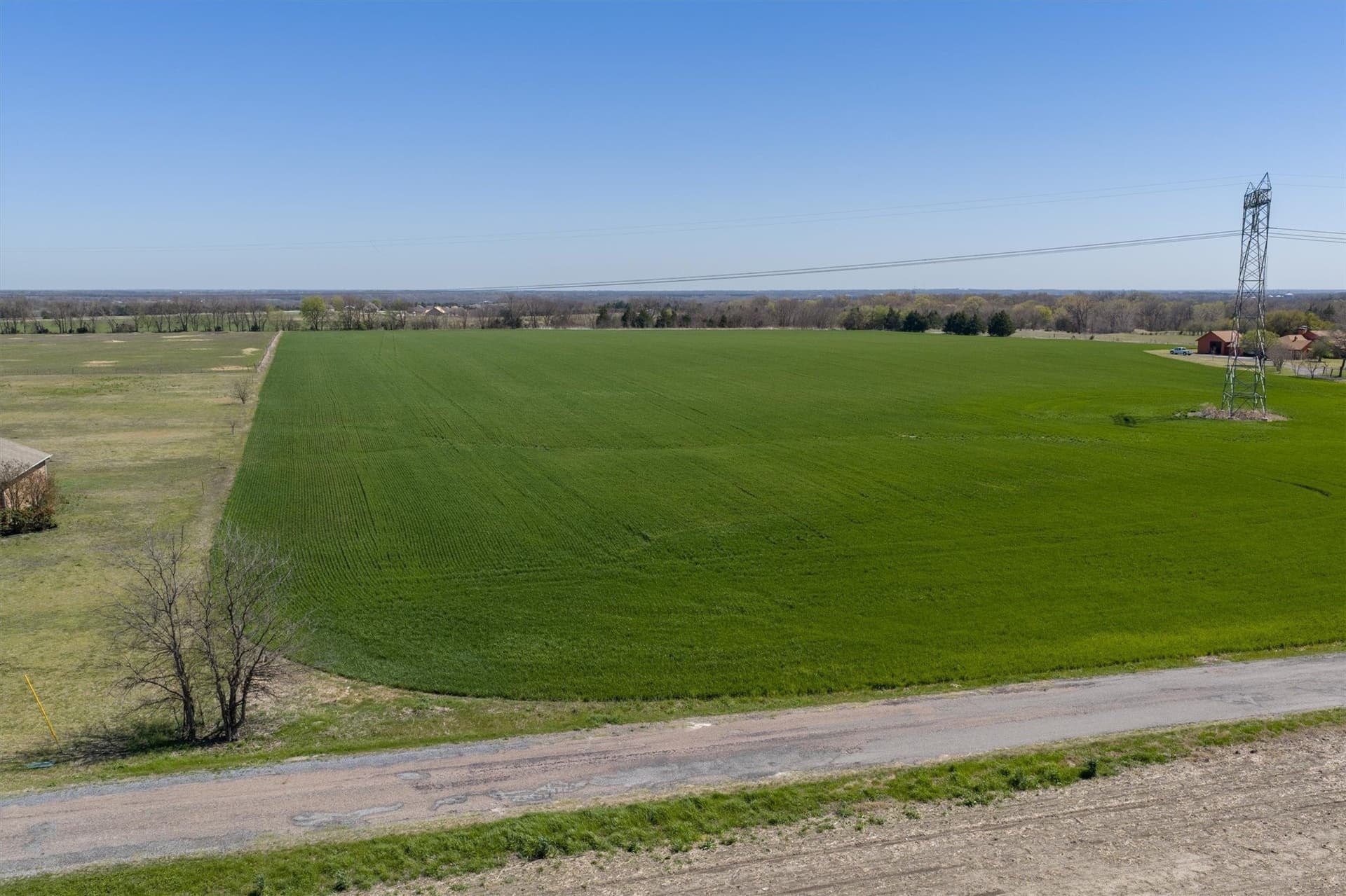 13.33 acres in Grayson County - photo 7