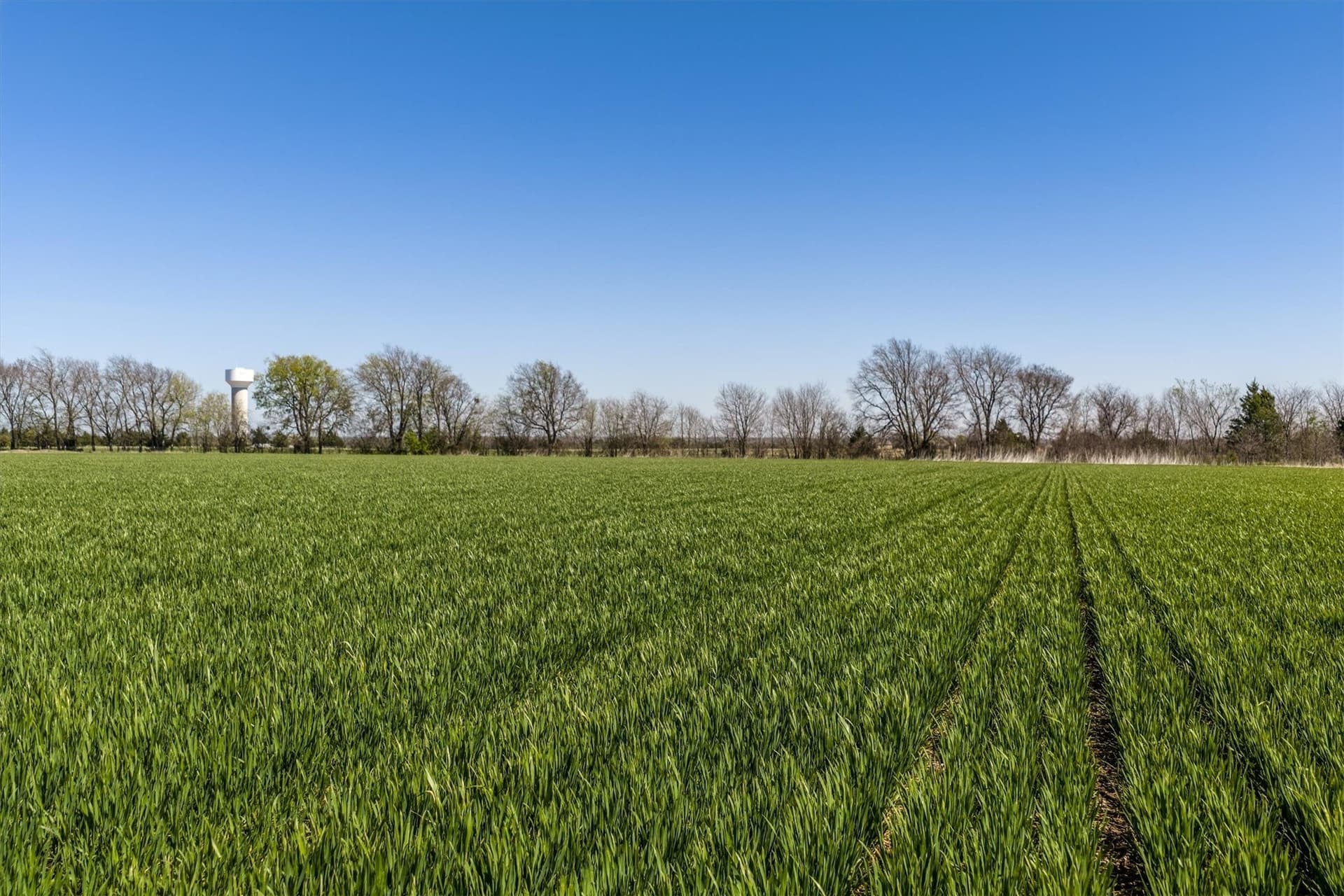 13.33 acres in Grayson County - photo 21
