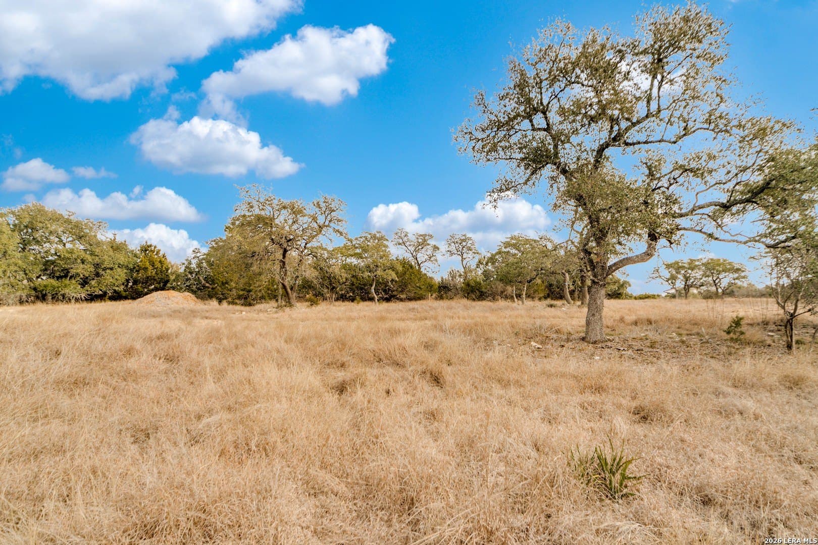 2.84 acres in Kendall County - photo 7