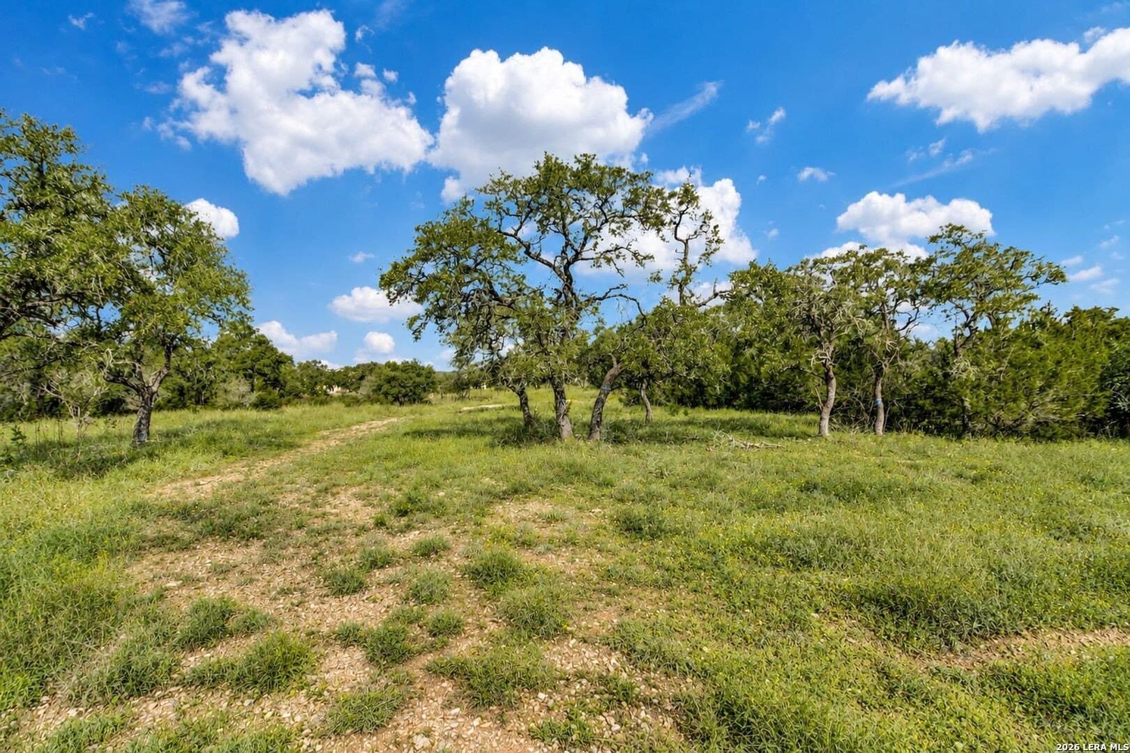 2.84 acres in Kendall County - photo 4