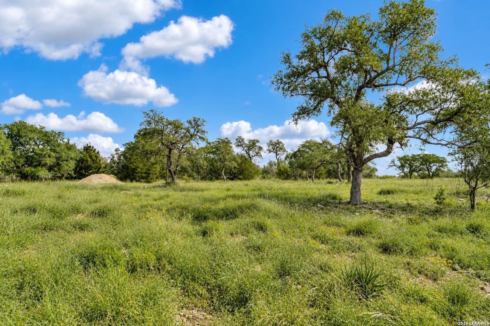 2.84 acres in Kendall County - photo 5