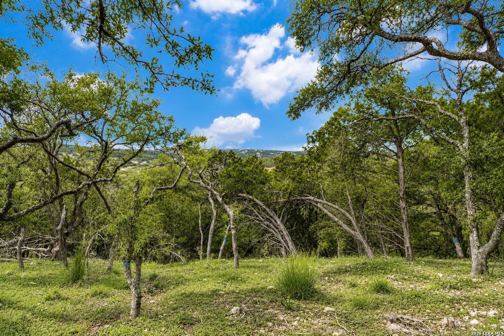 2.84 acres in Kendall County - photo 7