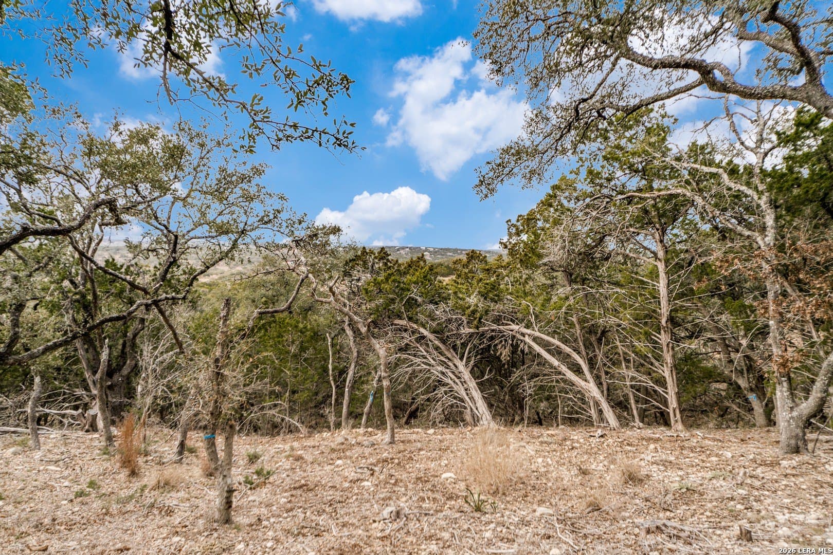 2.84 acres in Kendall County - photo 9