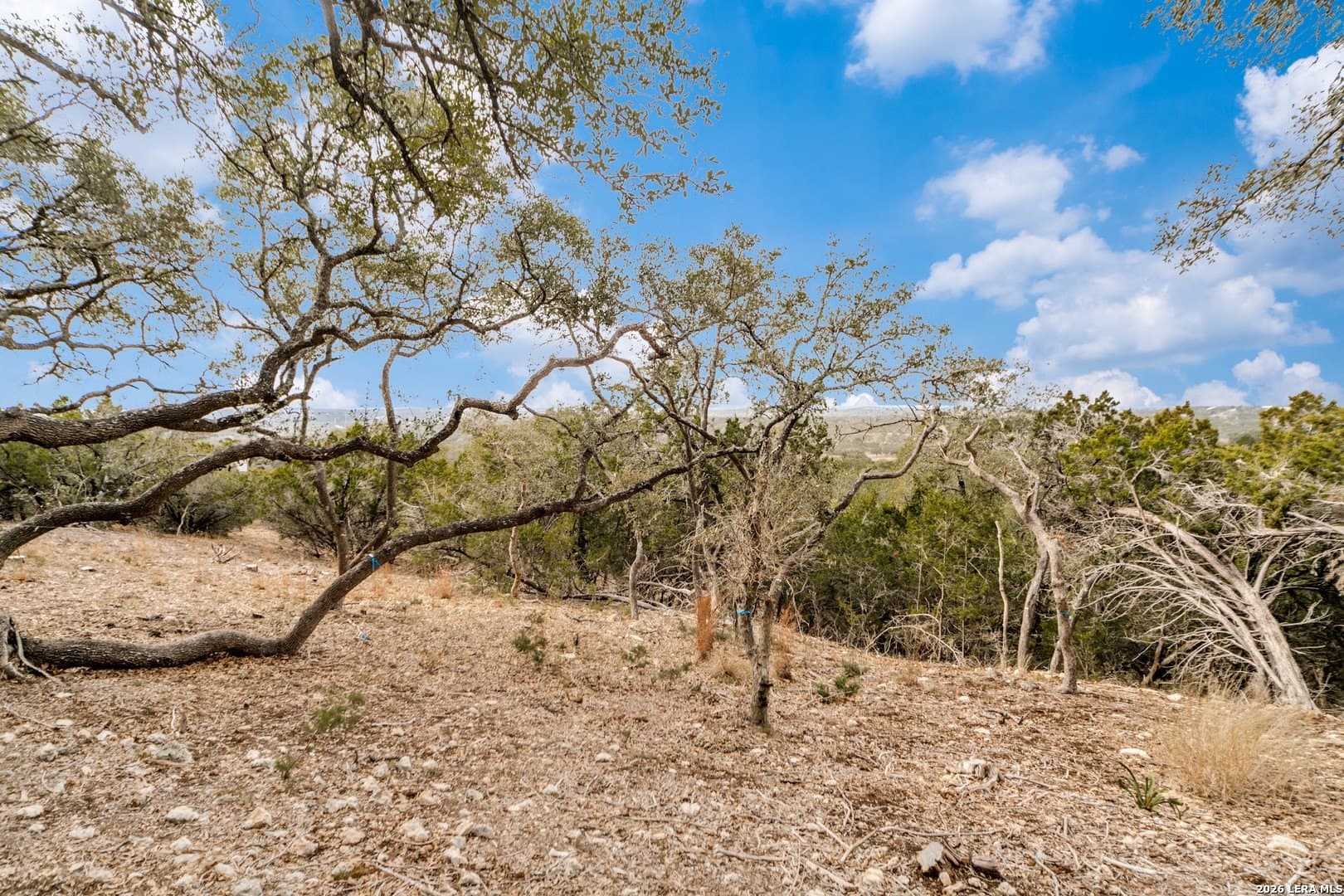2.84 acres in Kendall County - photo 8
