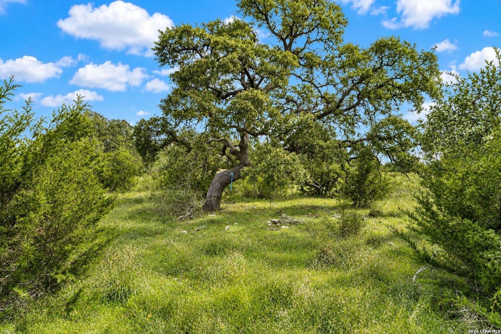 2.84 acres in Kendall County - photo 9
