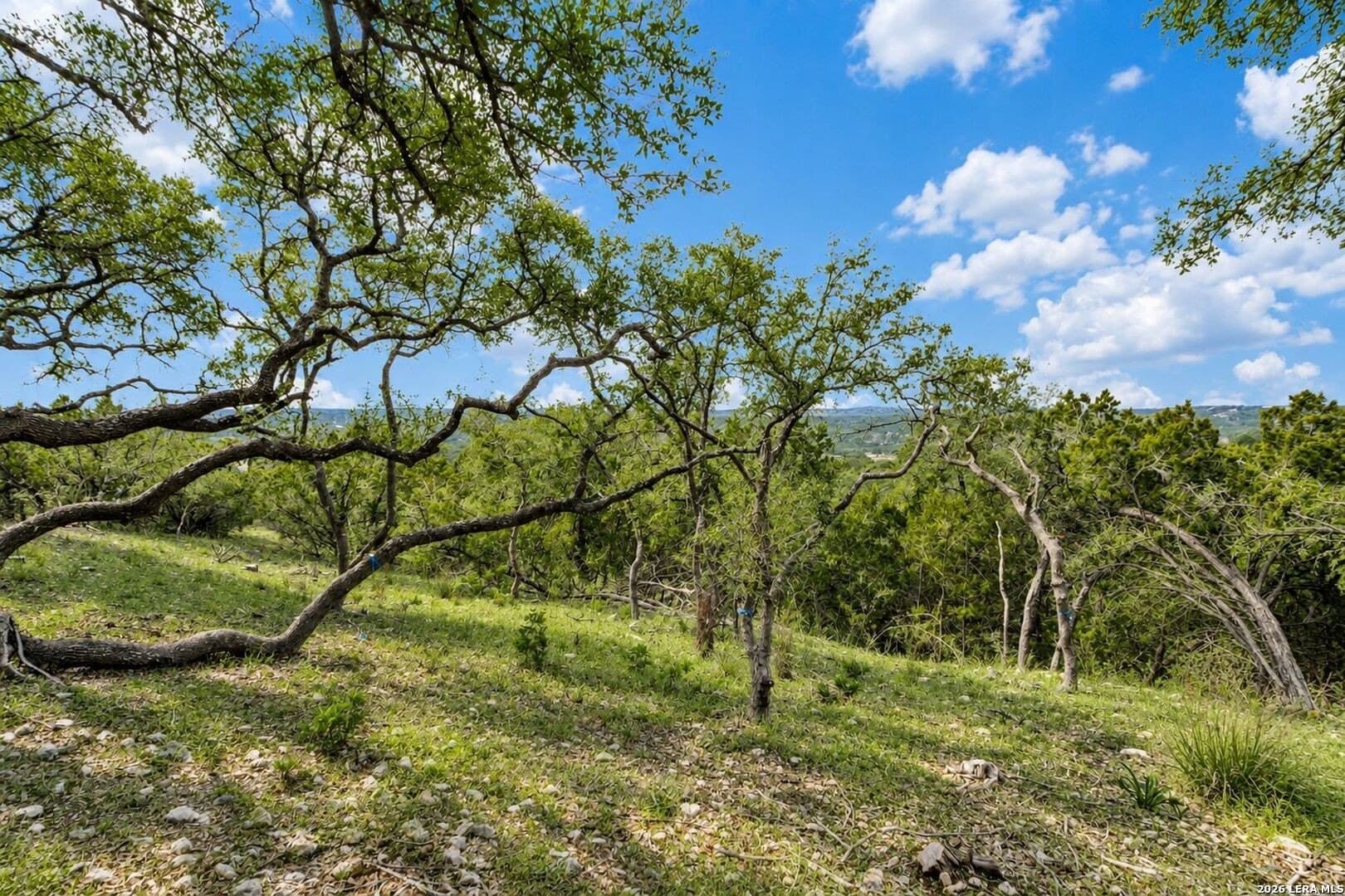2.84 acres in Kendall County - photo 6