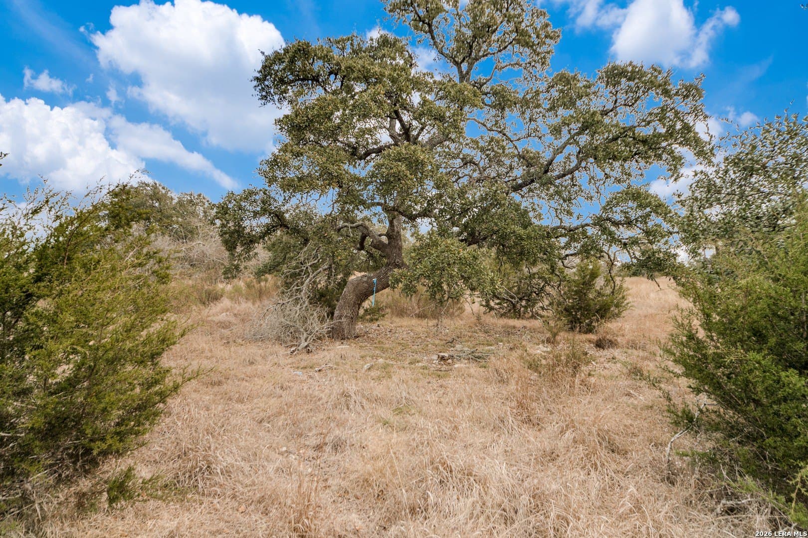 2.84 acres in Kendall County - photo 11
