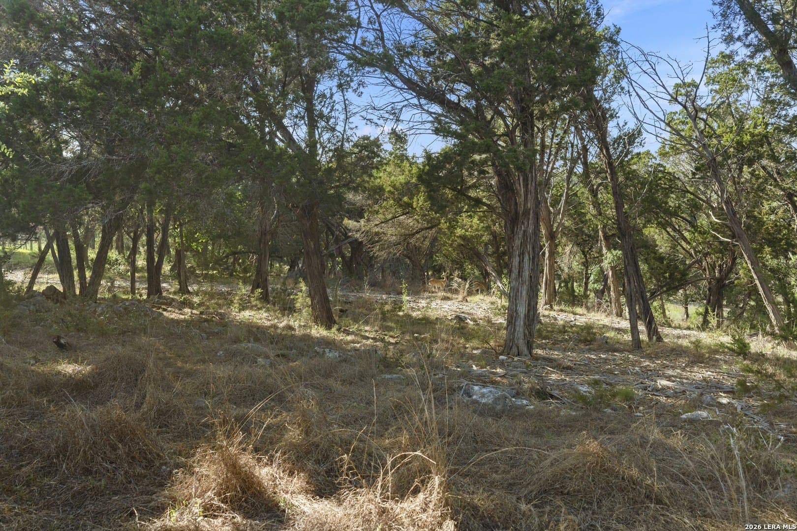 1.1 acres in Kendall County - photo 22
