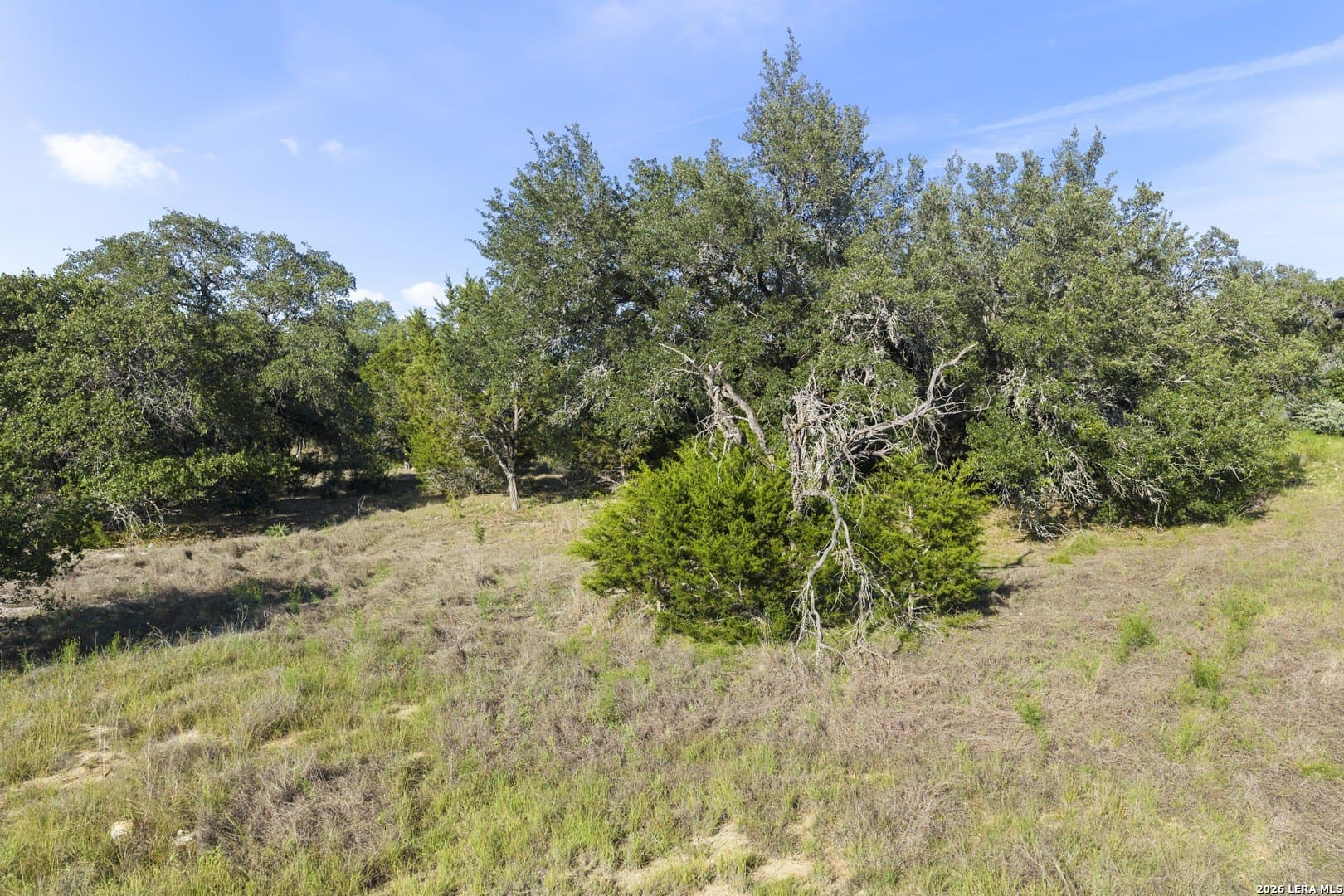 1.1 acres in Kendall County - photo 25