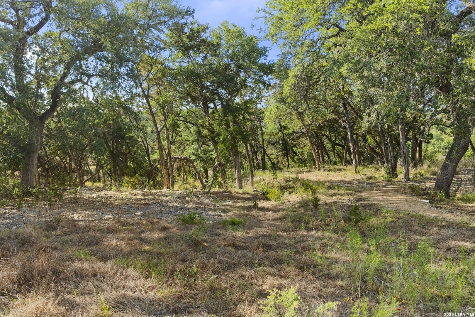 1.1 acres in Kendall County - photo 18