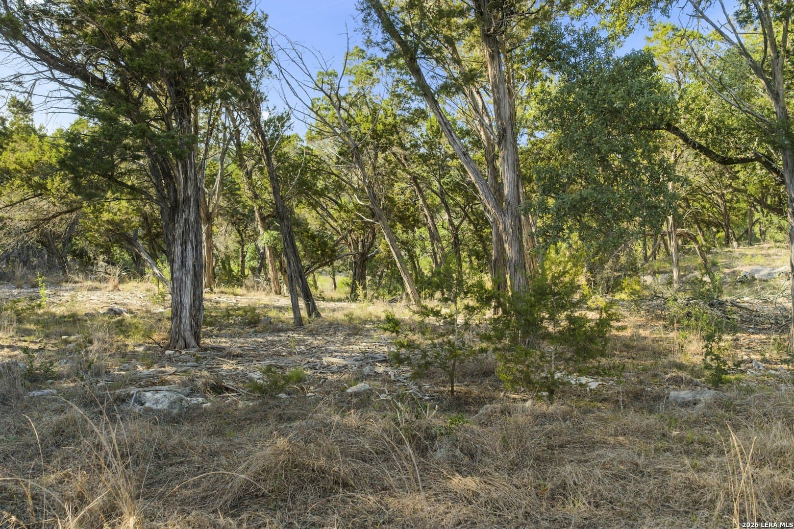 1.1 acres in Kendall County - photo 24