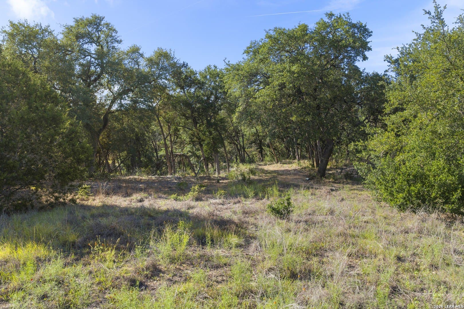 1.1 acres in Kendall County - photo 17