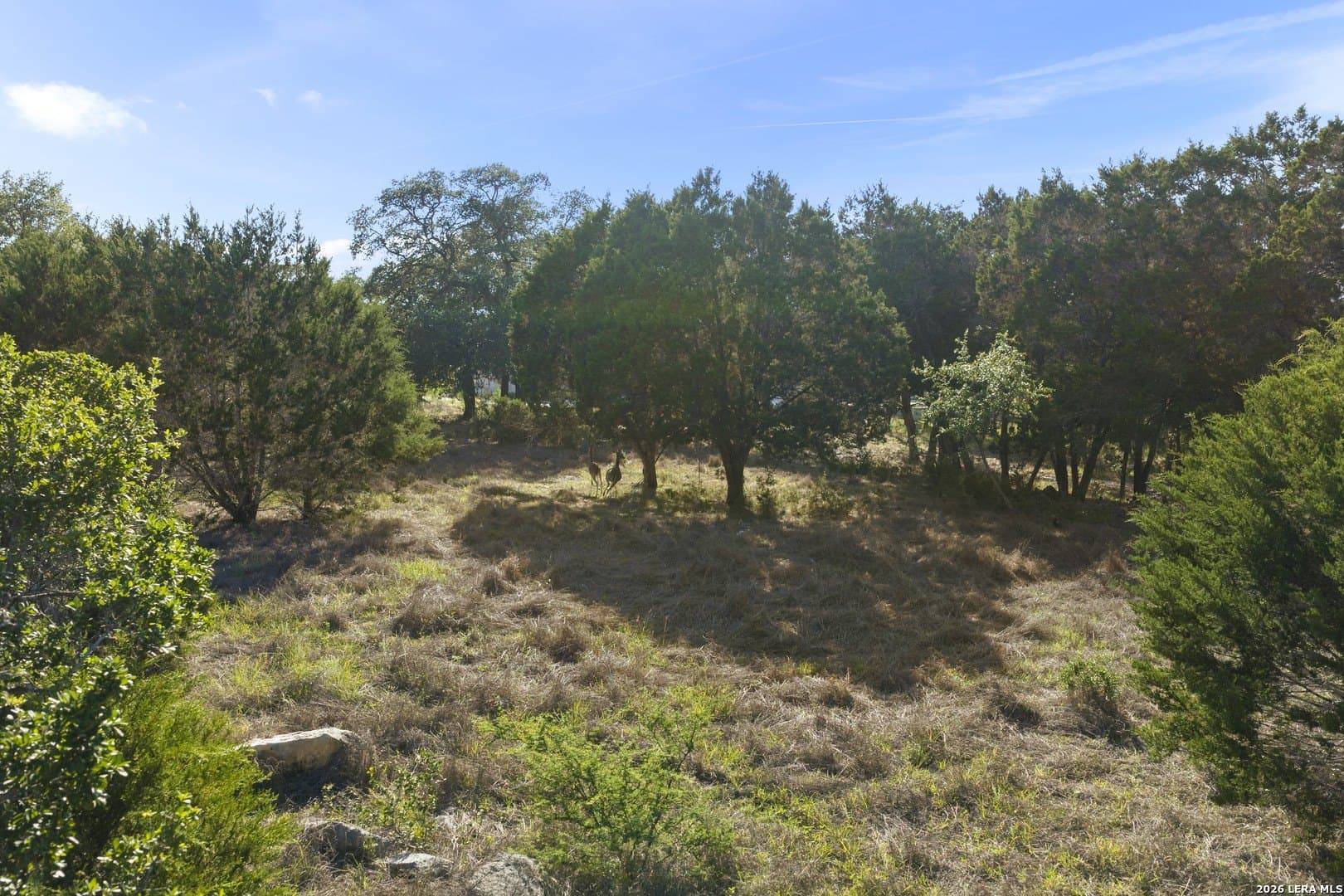 1.1 acres in Kendall County - photo 11