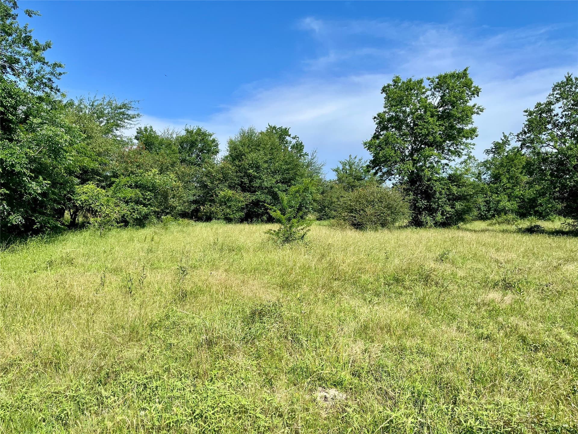 200 acres in Franklin (TX) County gallery image 2