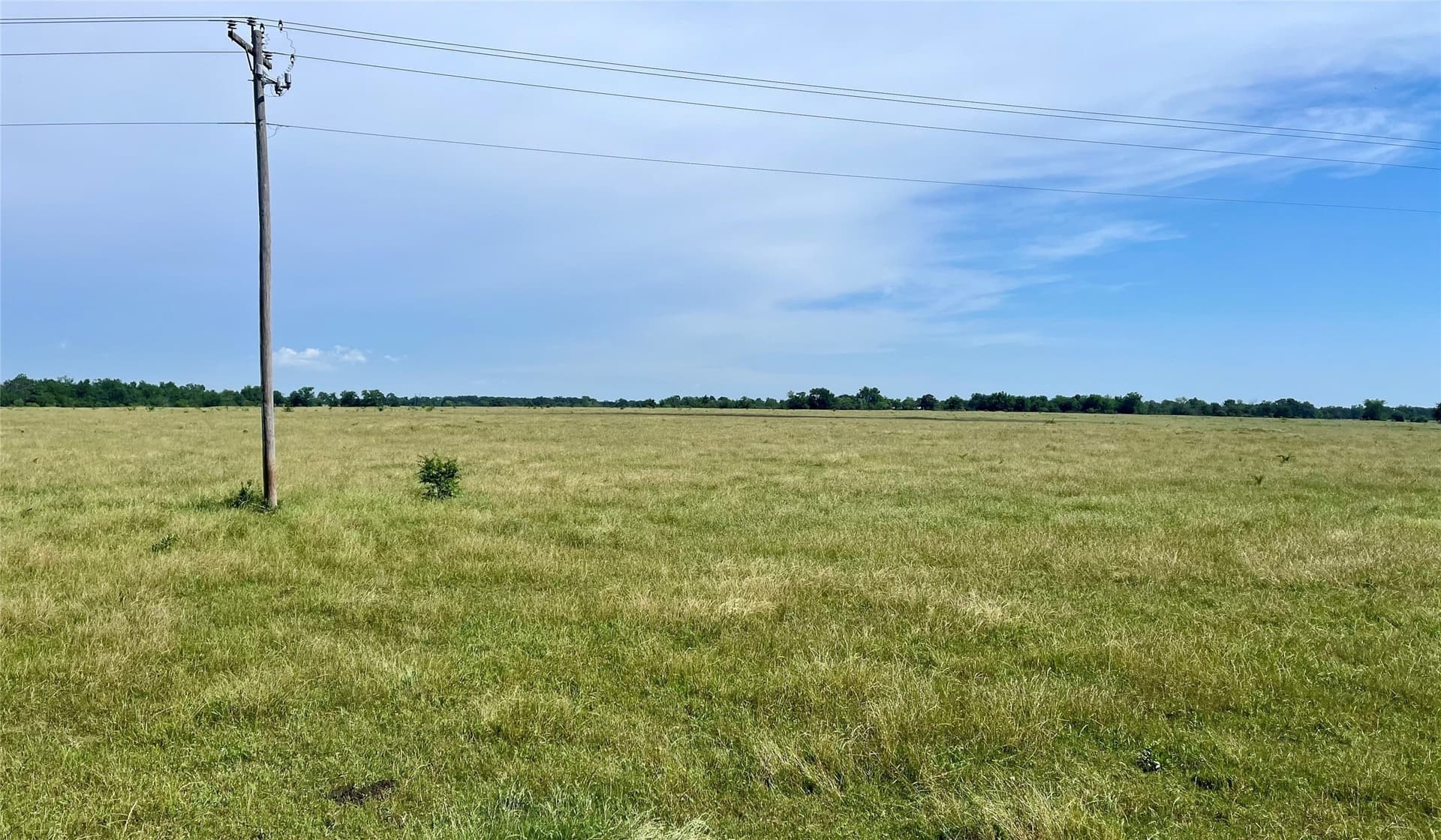 200 acres in Franklin (TX) County - photo 8