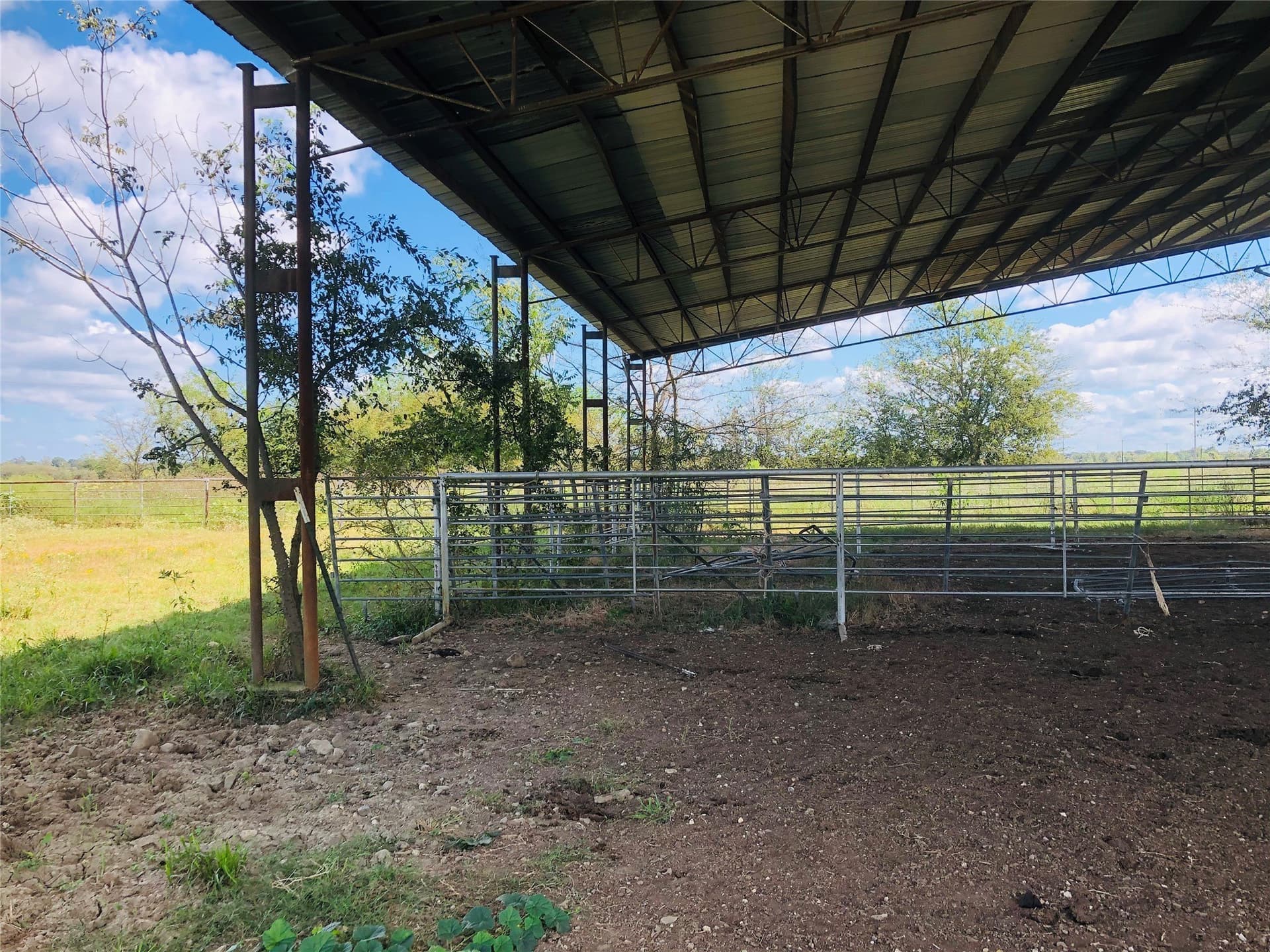 200 acres in Franklin (TX) County - photo 12