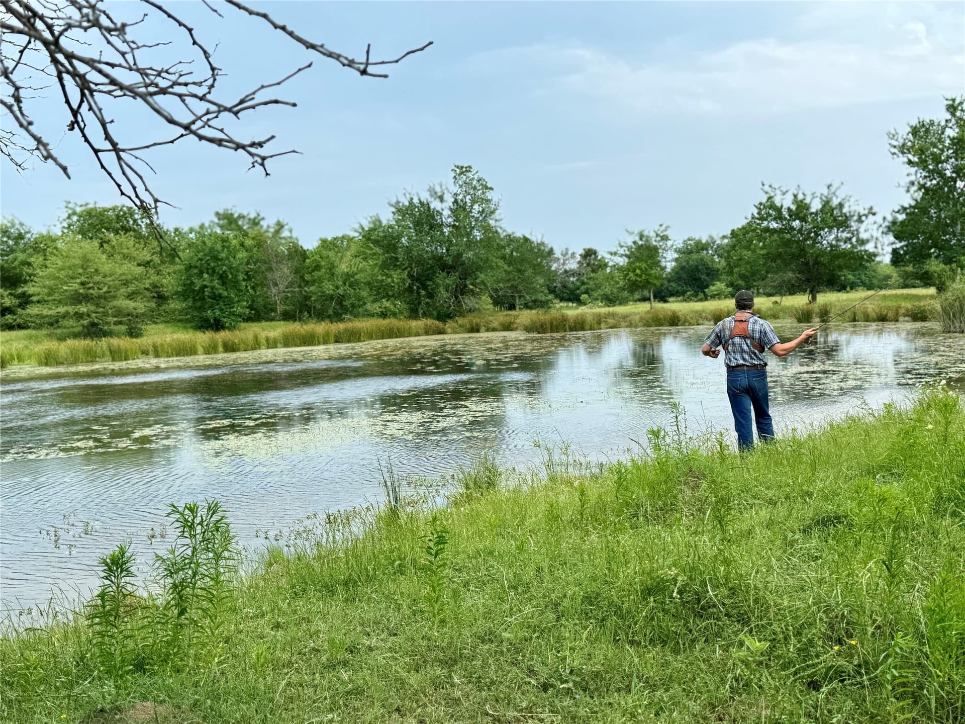 200 acres in Franklin (TX) County gallery image 4