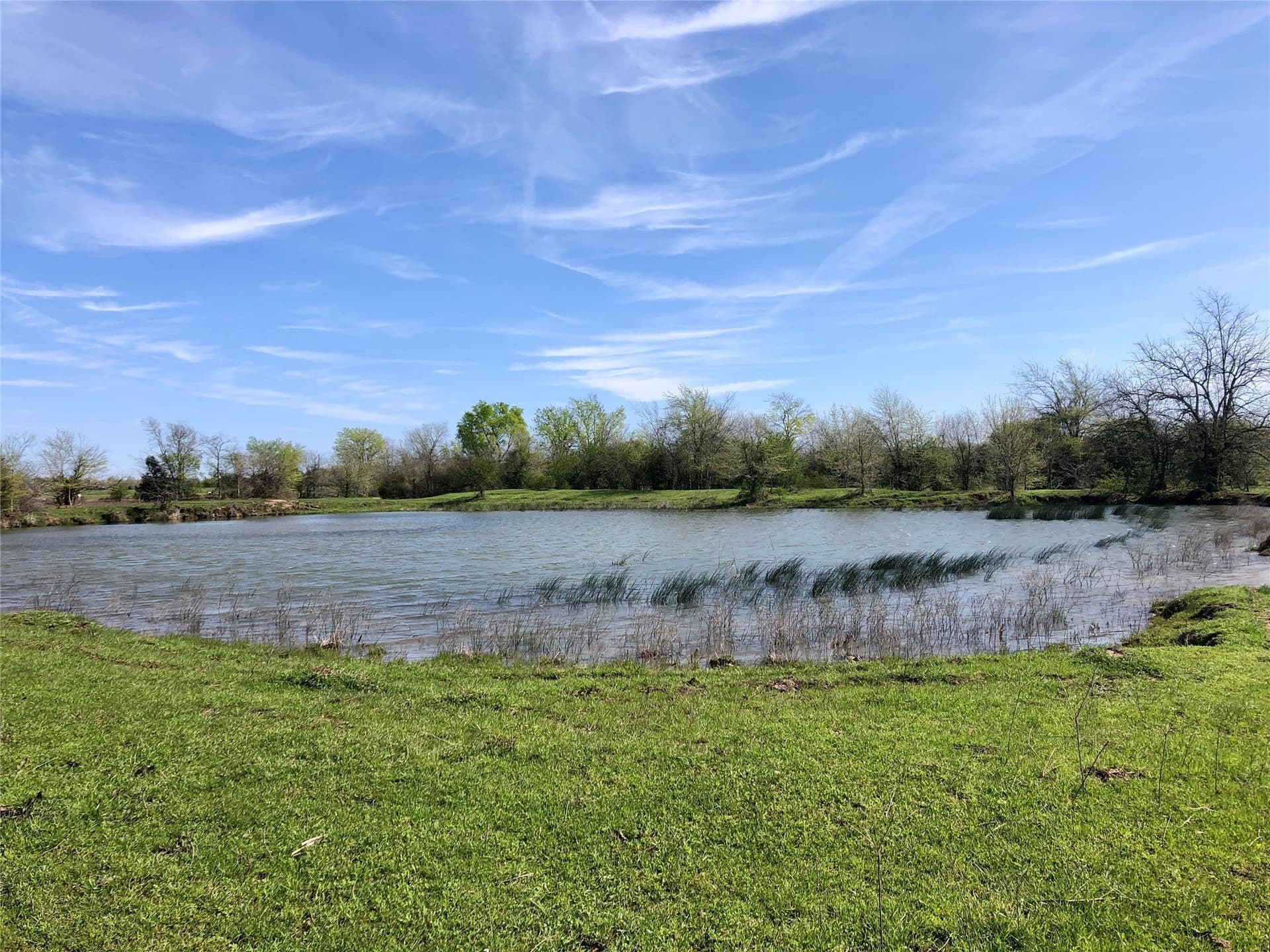 200 acres in Franklin (TX) County - photo 6