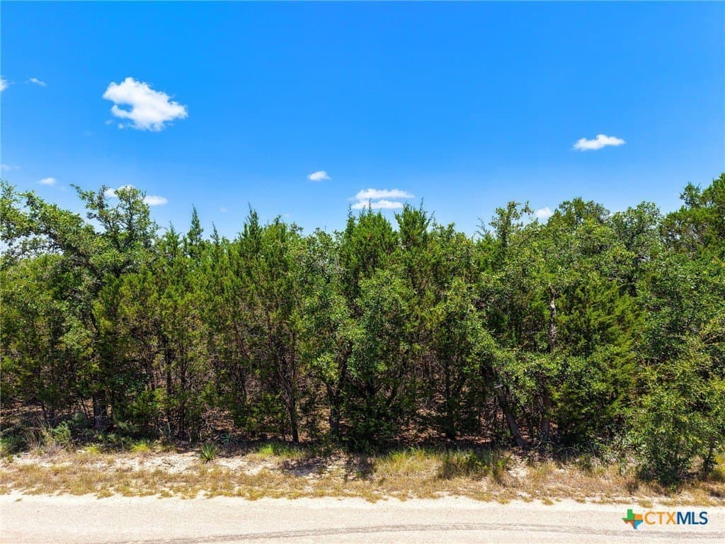 4.24 acres in Lampasas County - photo 6