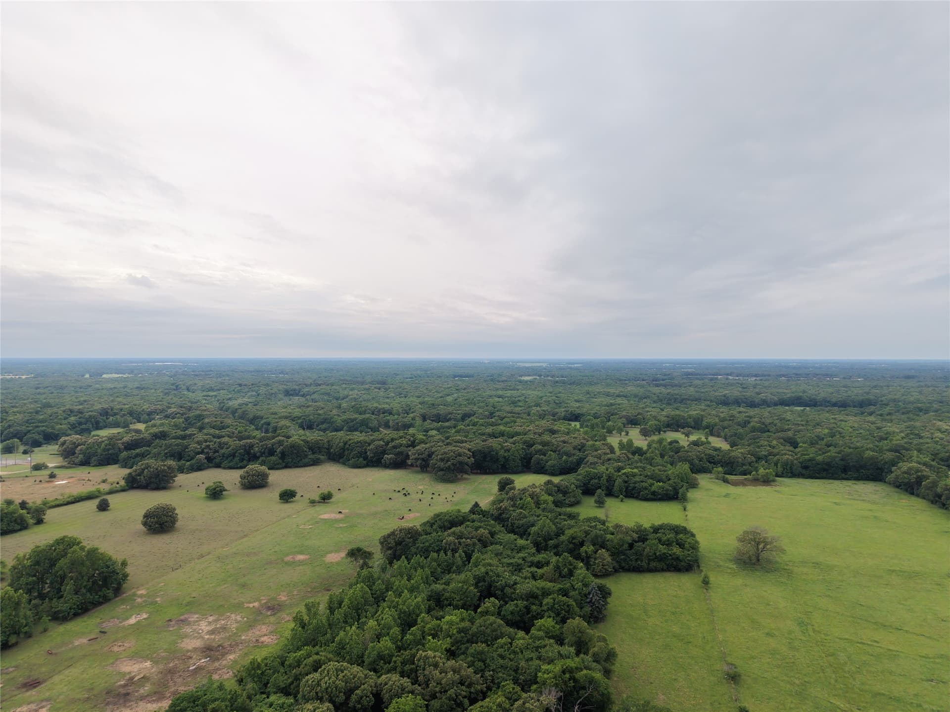 22.69 acres in Hopkins County - photo 13