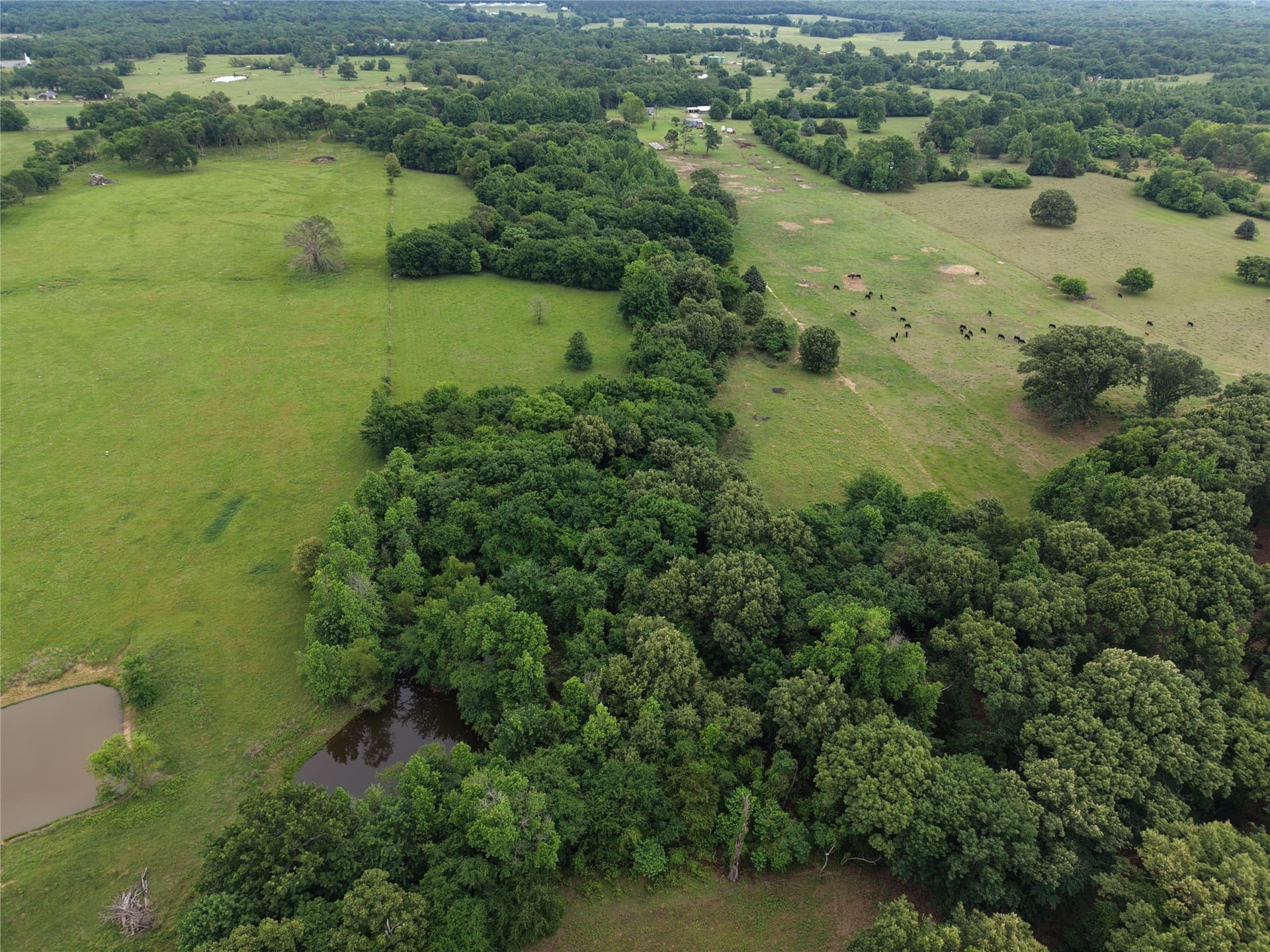 22.69 acres in Hopkins County - photo 8