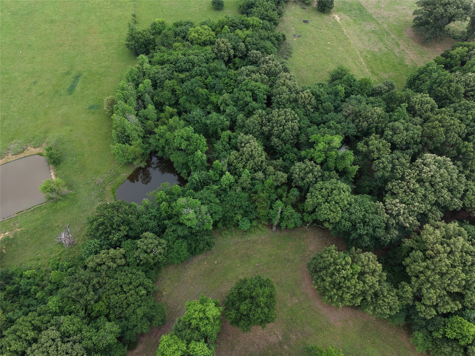 22.69 acres in Hopkins County - photo 10