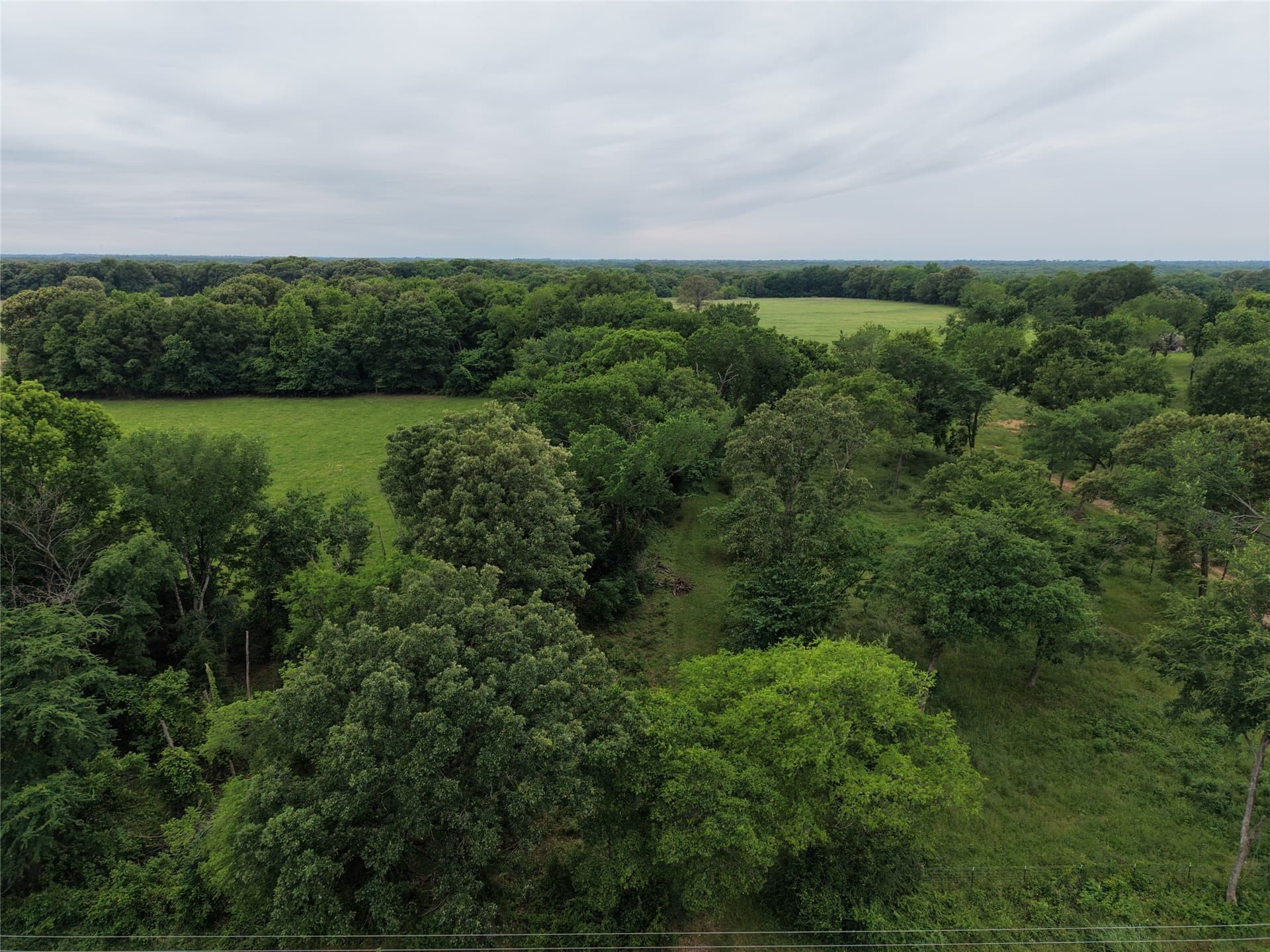 22.69 acres in Hopkins County gallery image 2