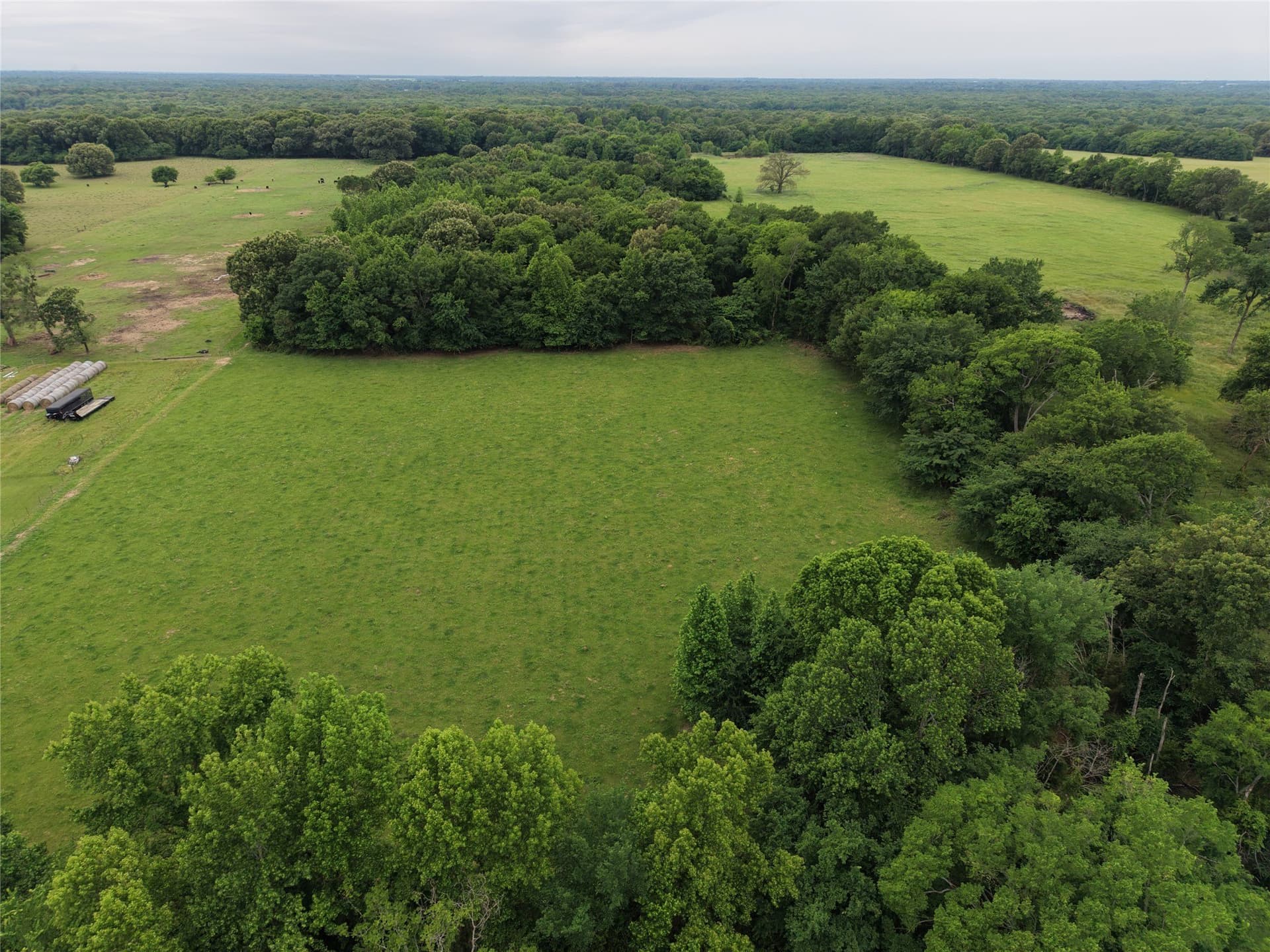 22.69 acres in Hopkins County gallery image 4