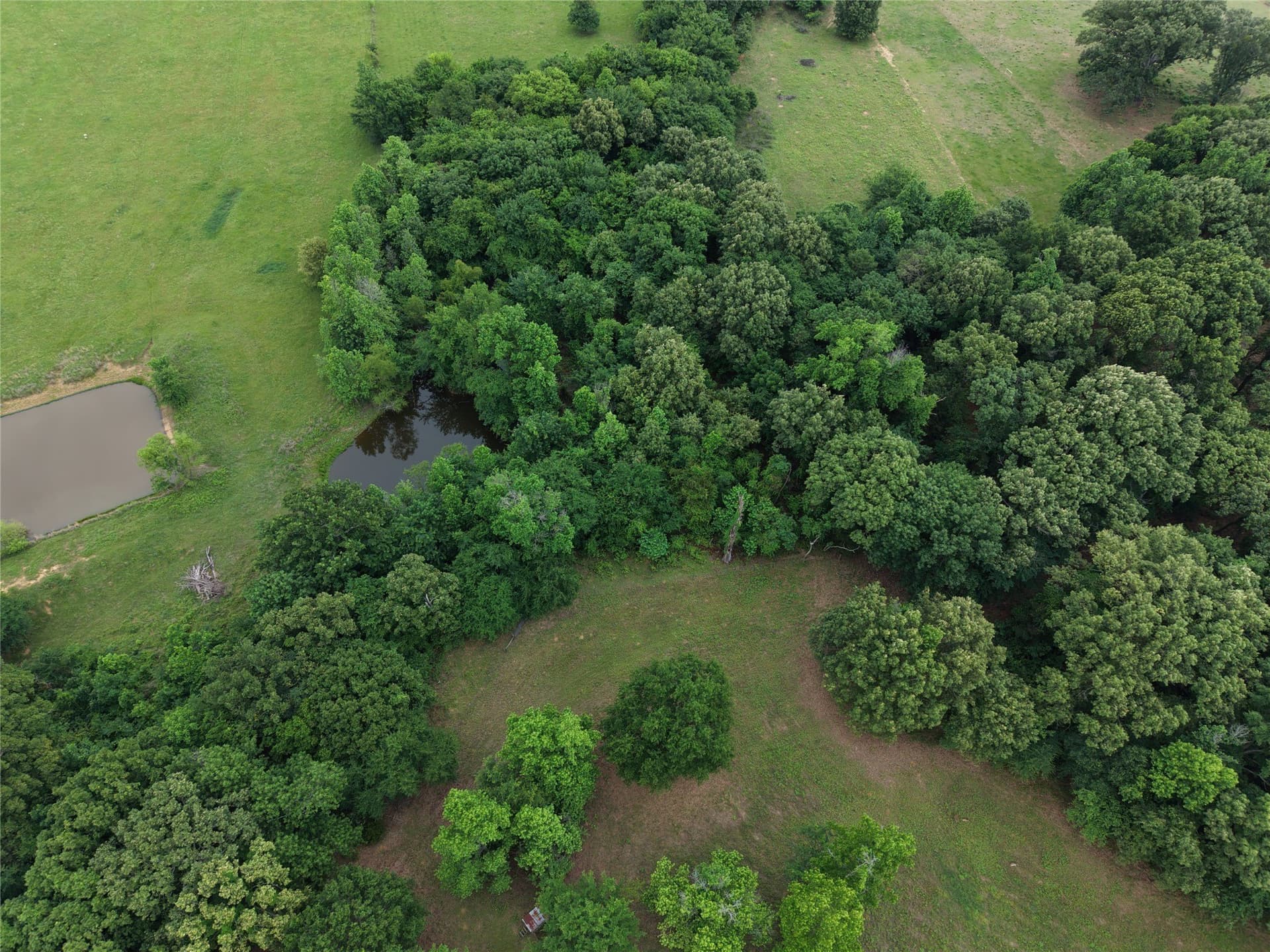 22.69 acres in Hopkins County gallery image 3
