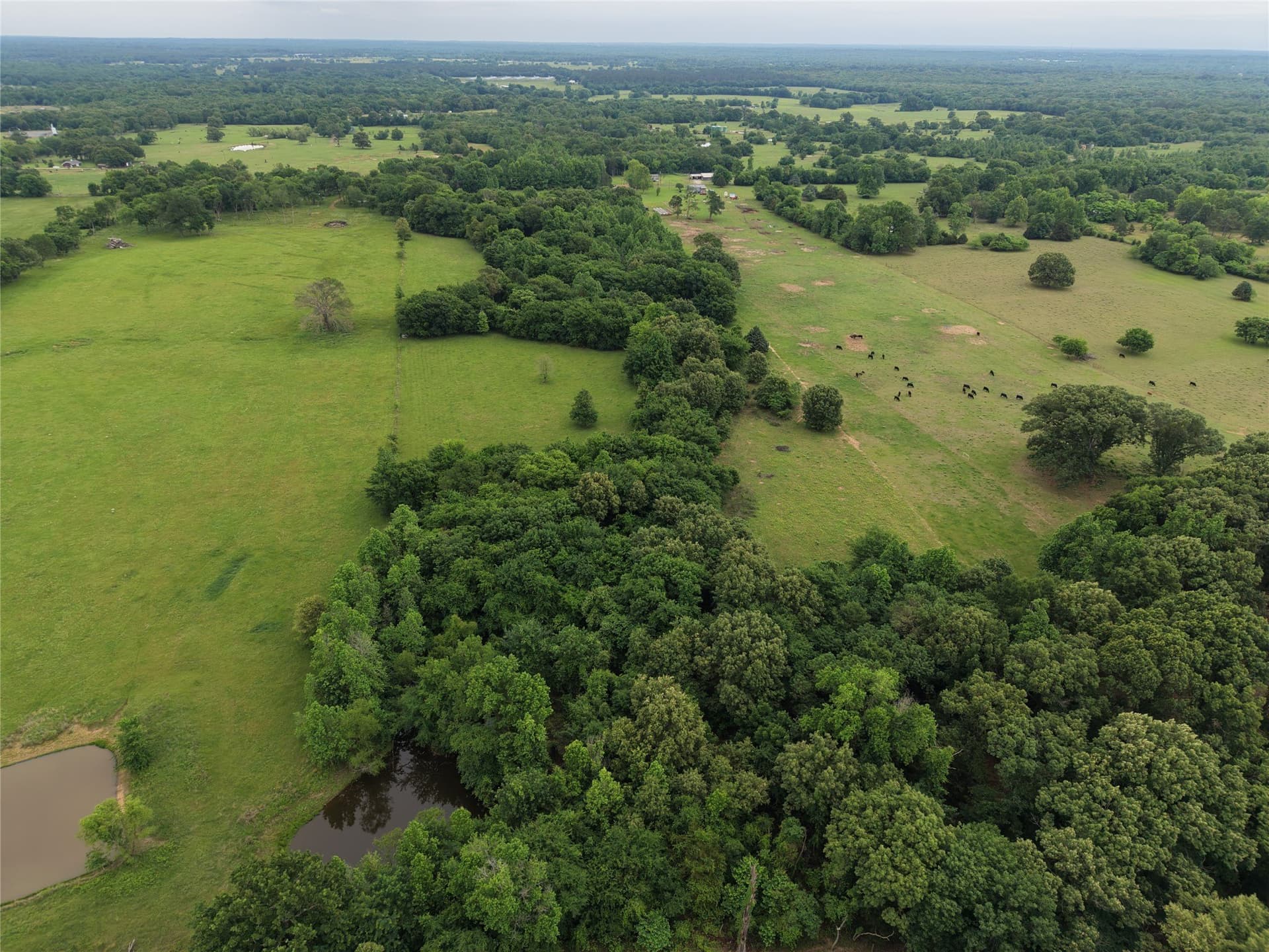 22.69 acres in Hopkins County - photo 9