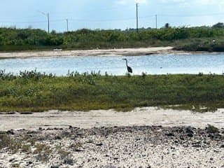0.16 acres in Nueces County featured view