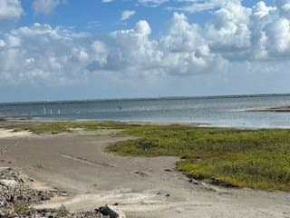 0.16 acres in Nueces County gallery image 4