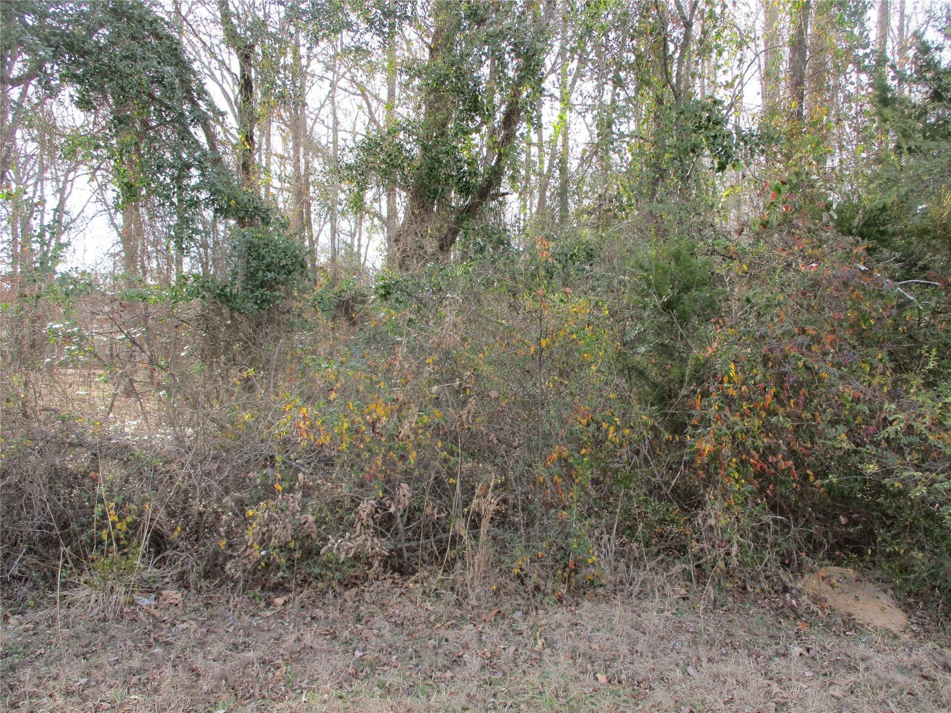 6.62 acres in Wood County