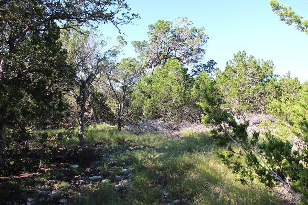 21 acres in Real County gallery image 4