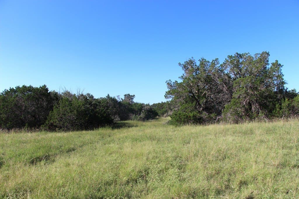 21 acres in Real County gallery image 2