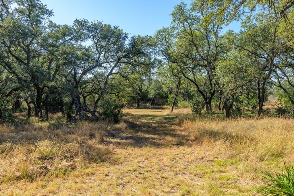 28.24 acres in Blanco County - photo 35