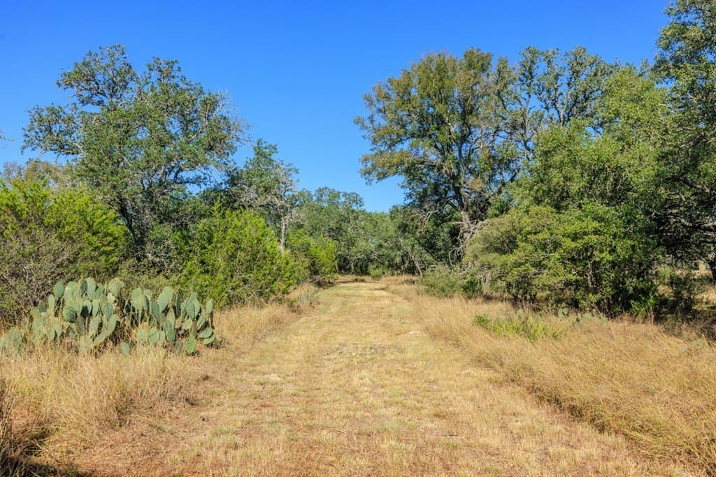 28.24 acres in Blanco County - photo 32